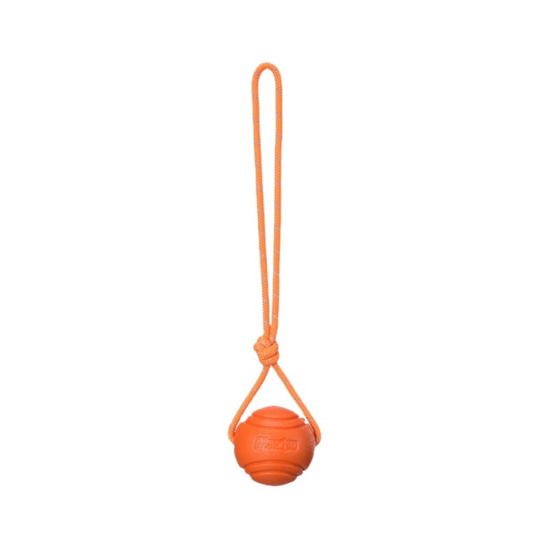 Pet Chew Toy