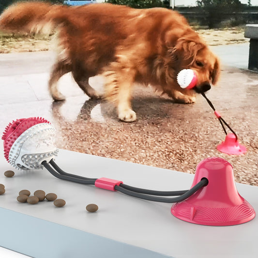 Pet Chew Toy