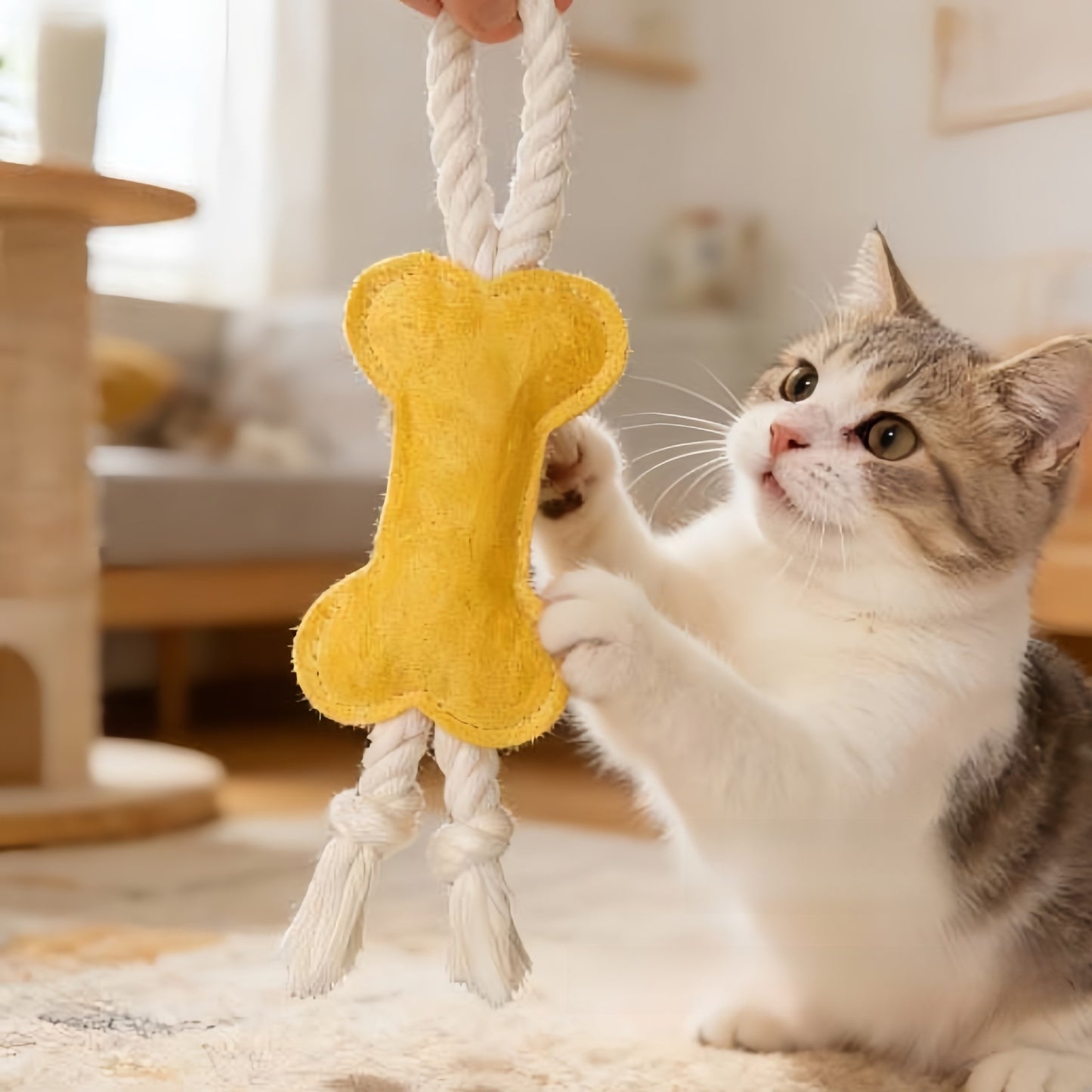 Pet Chew Toys