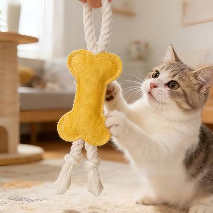 Pet Chew Toys