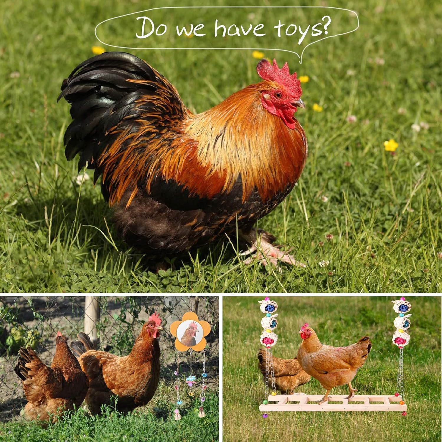 Pet chicken toys