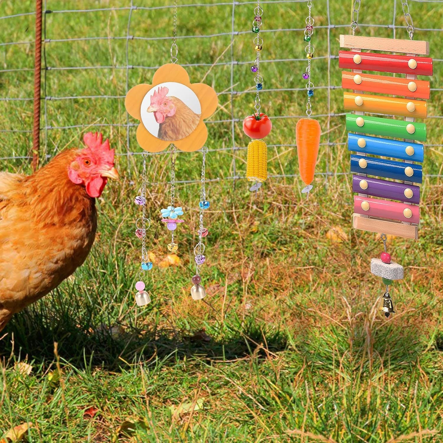 Pet chicken toys