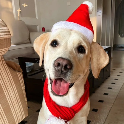 Pet Christmas Hat