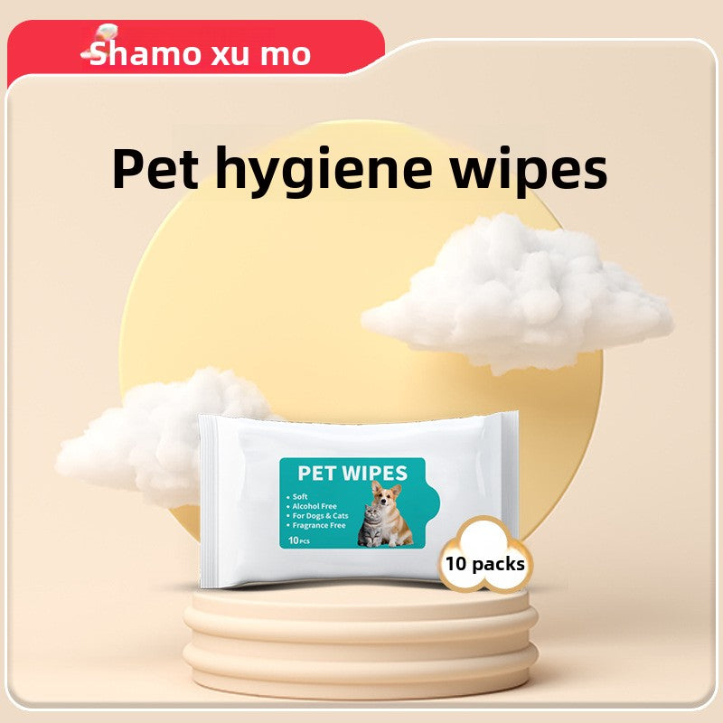 Pet Cleaning Disposable Gloves