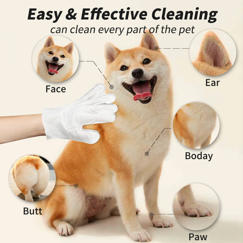 Pet Cleaning Disposable Gloves