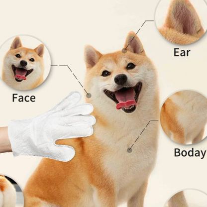 Pet Cleaning Gloves