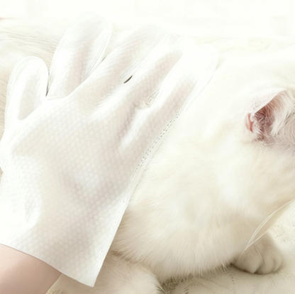 Pet Cleaning Wipes
