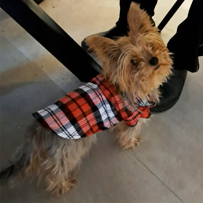 Pet Clothes