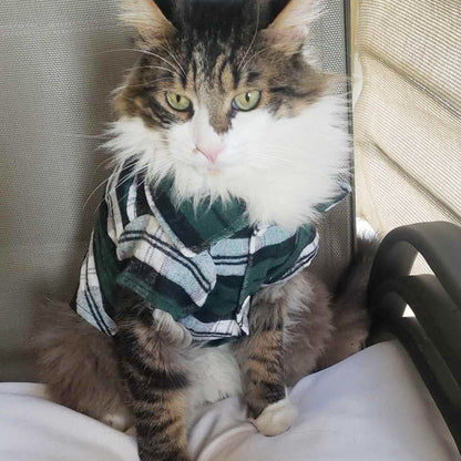 Pet Clothes