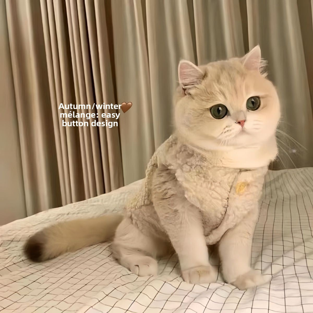 Pet Clothes