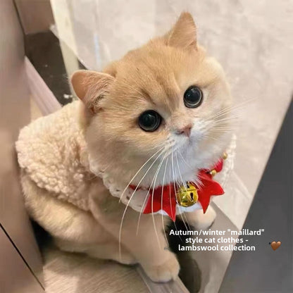 Pet Clothes