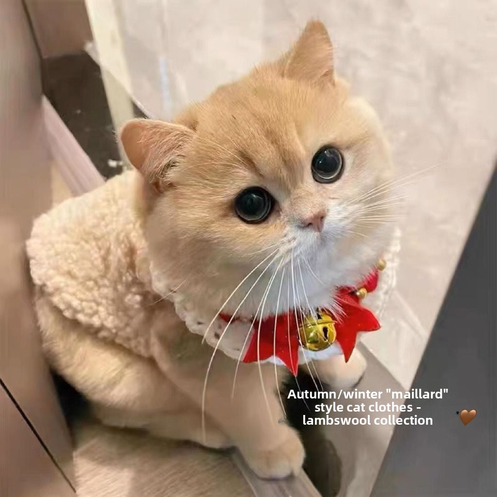 Pet Clothes