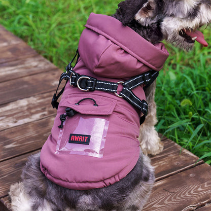 pet clothes