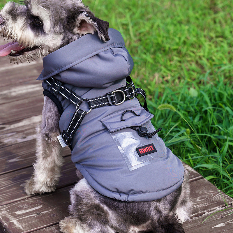 pet clothes