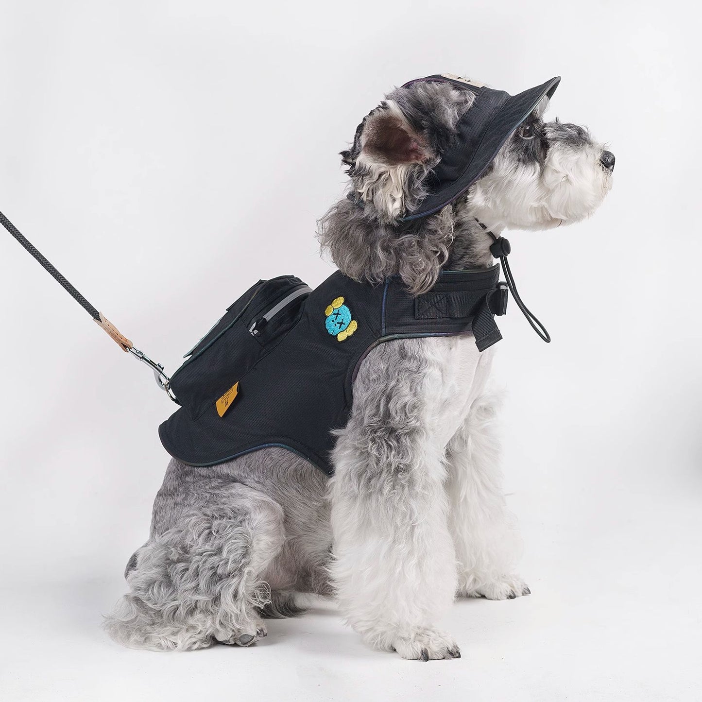 pet clothes