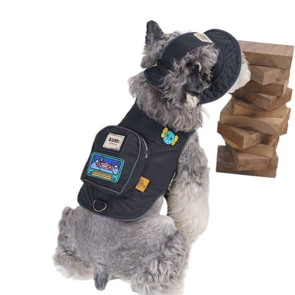 pet clothes