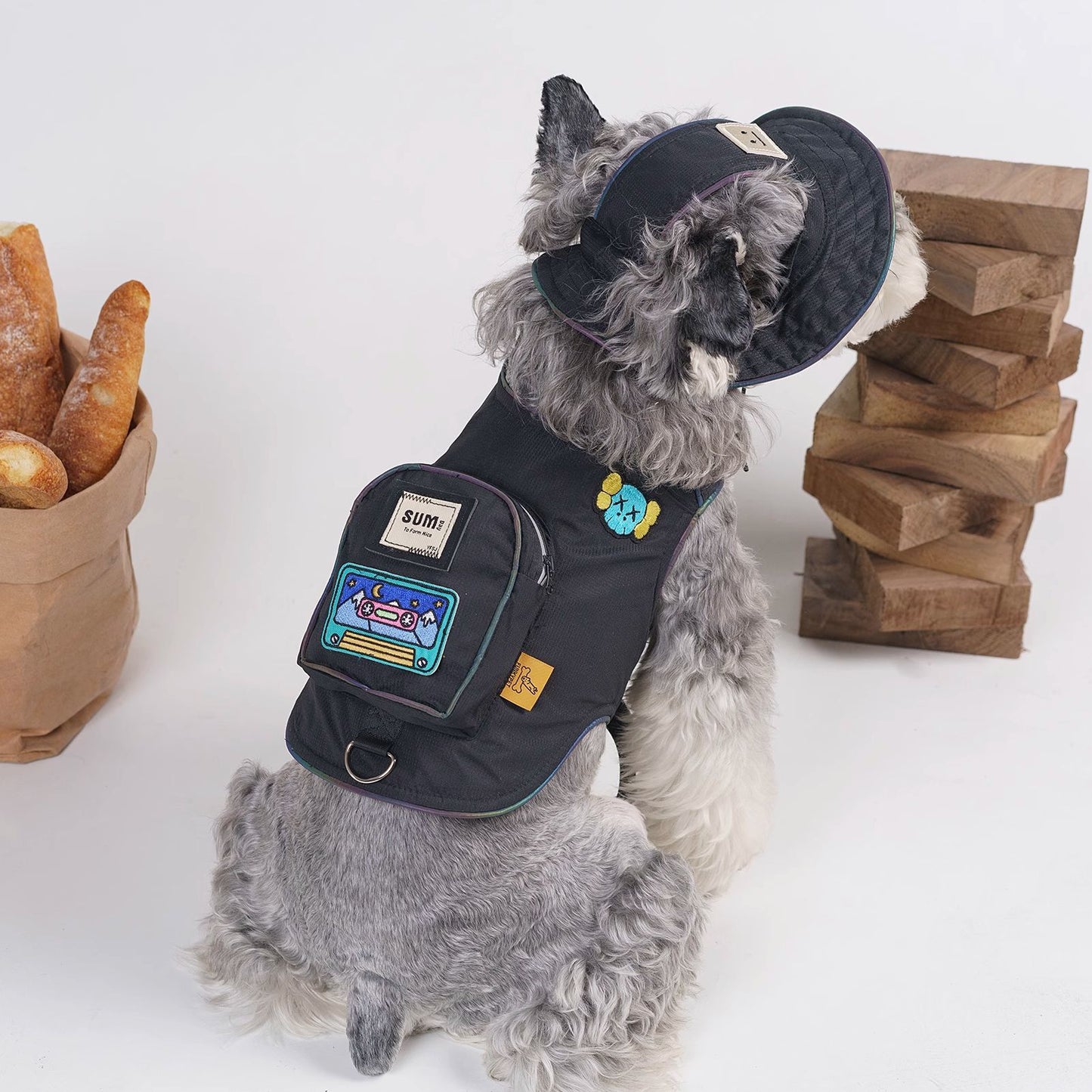 pet clothes