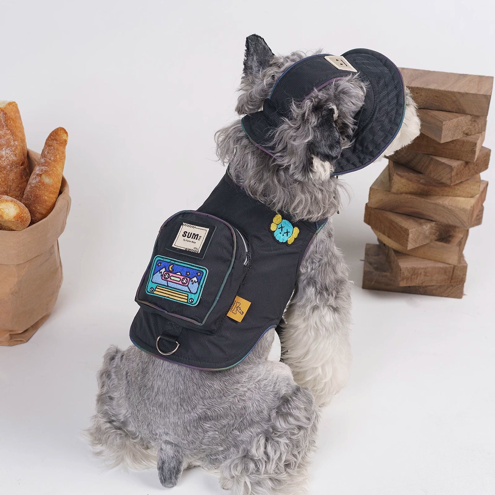 pet clothes