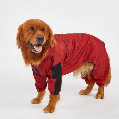 pet clothes