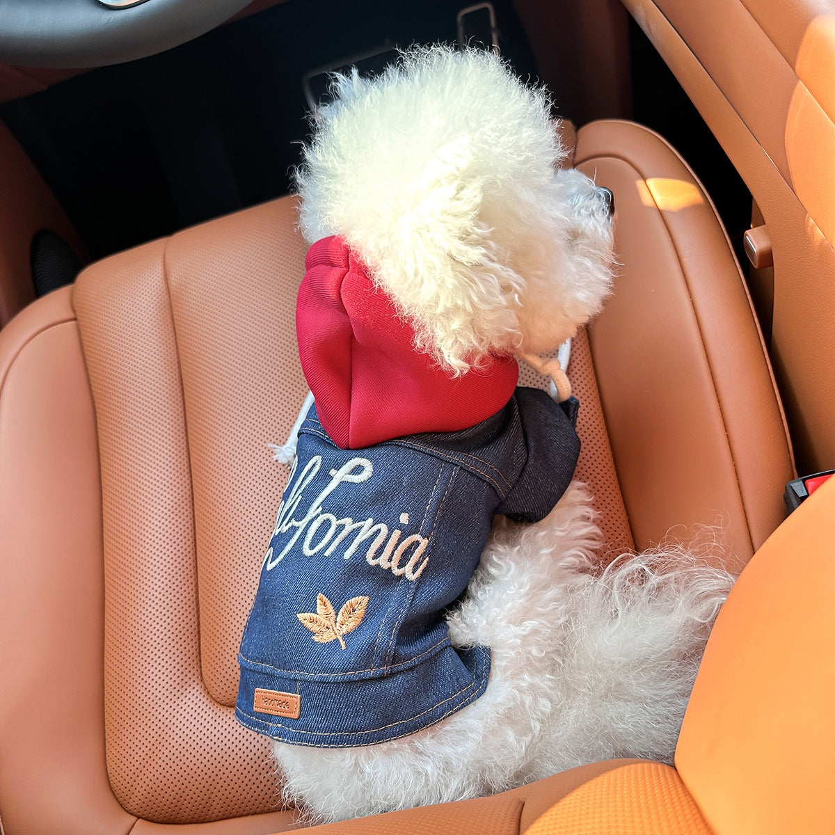 Pet clothing