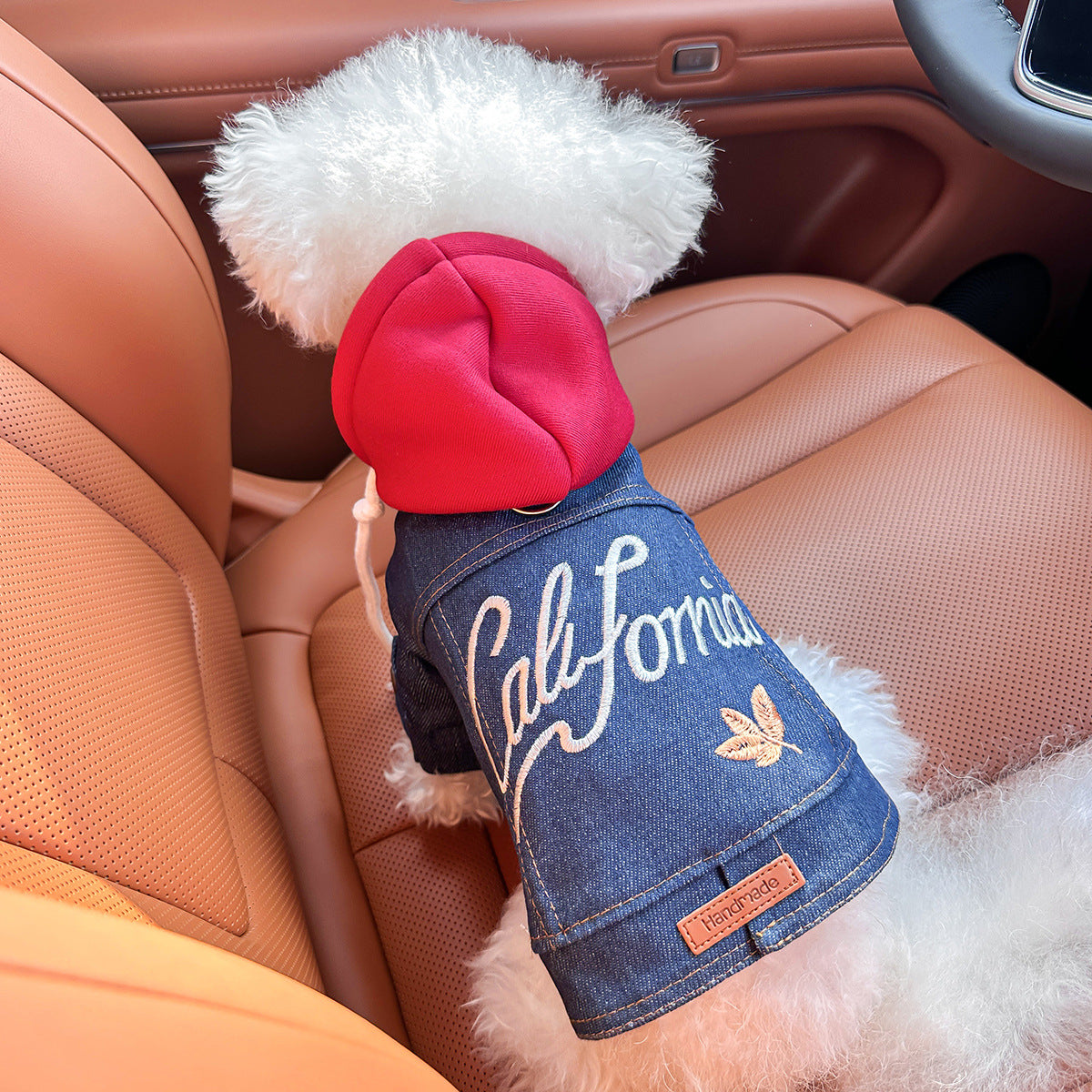 Pet clothing