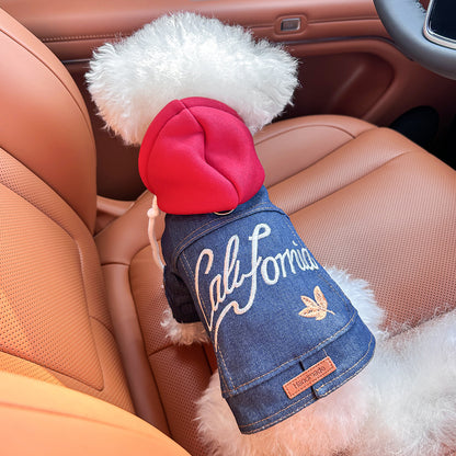 Pet clothing