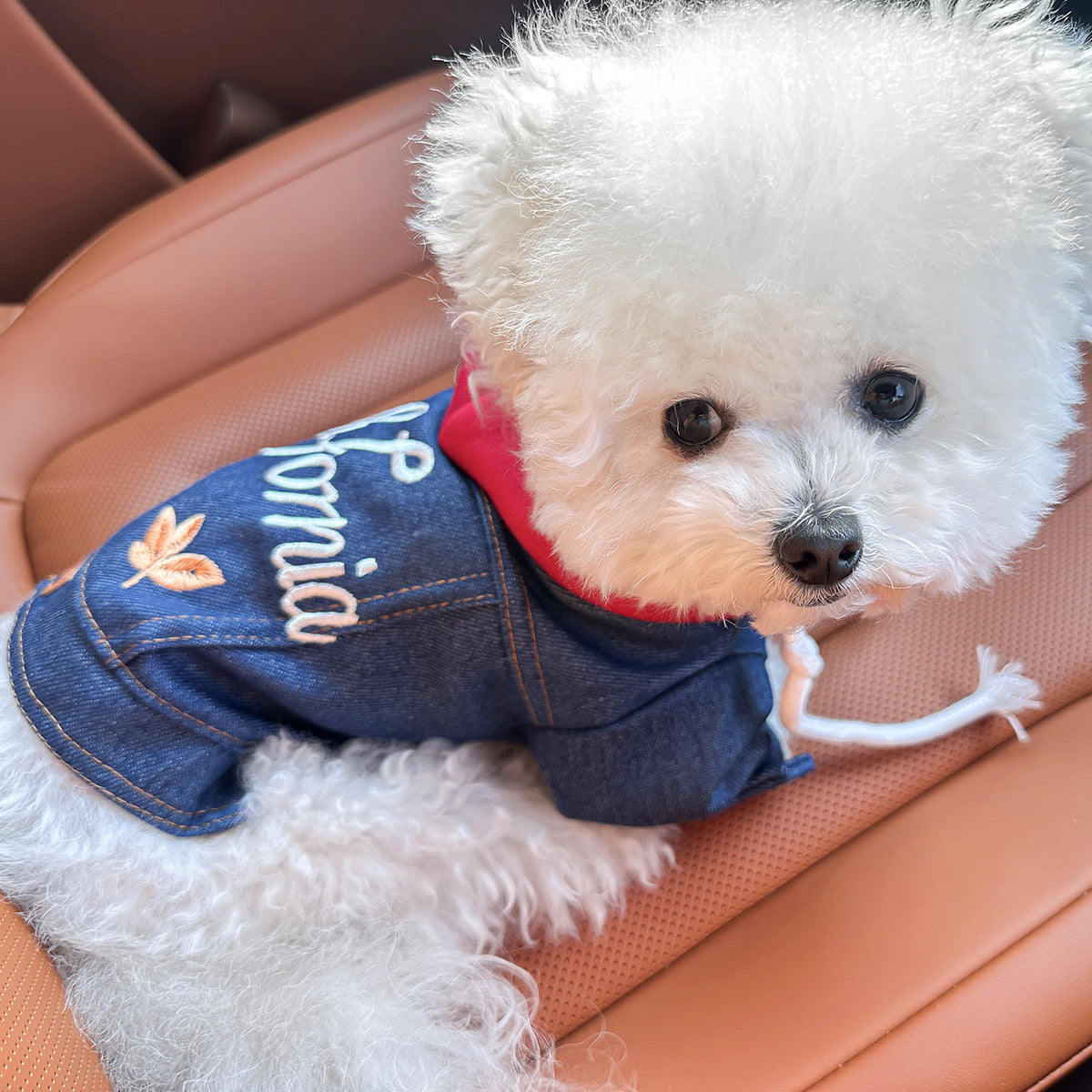 Pet clothing