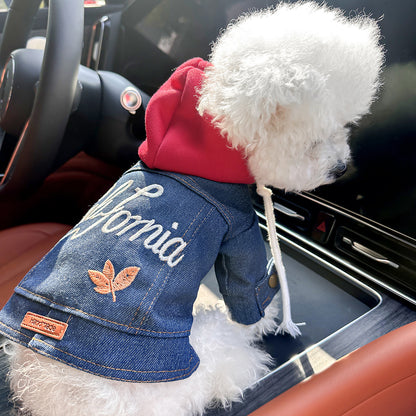 Pet clothing