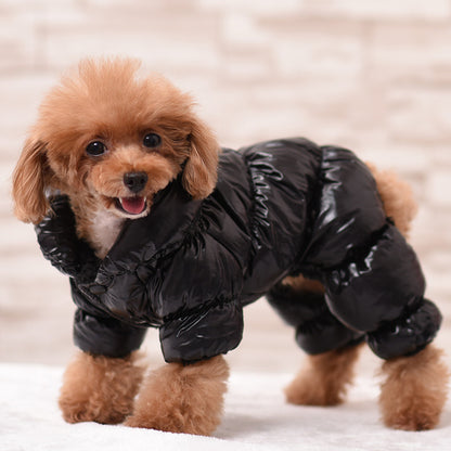 pet clothing