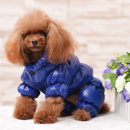 pet clothing