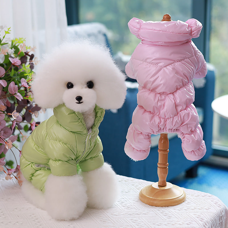 pet clothing