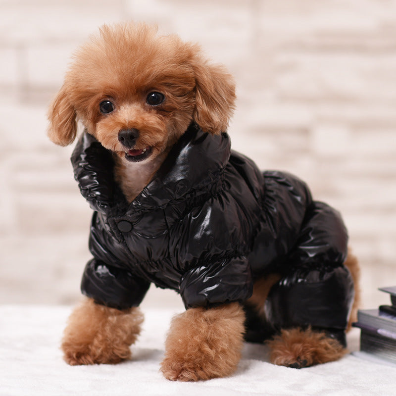 pet clothing