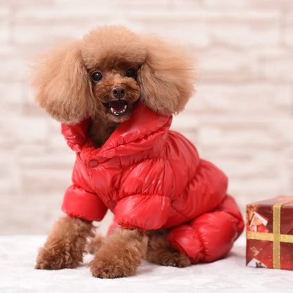 pet clothing
