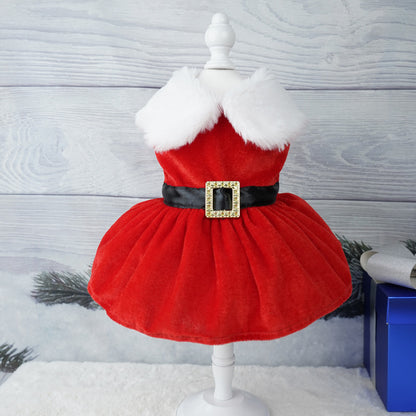 Pet Clothing