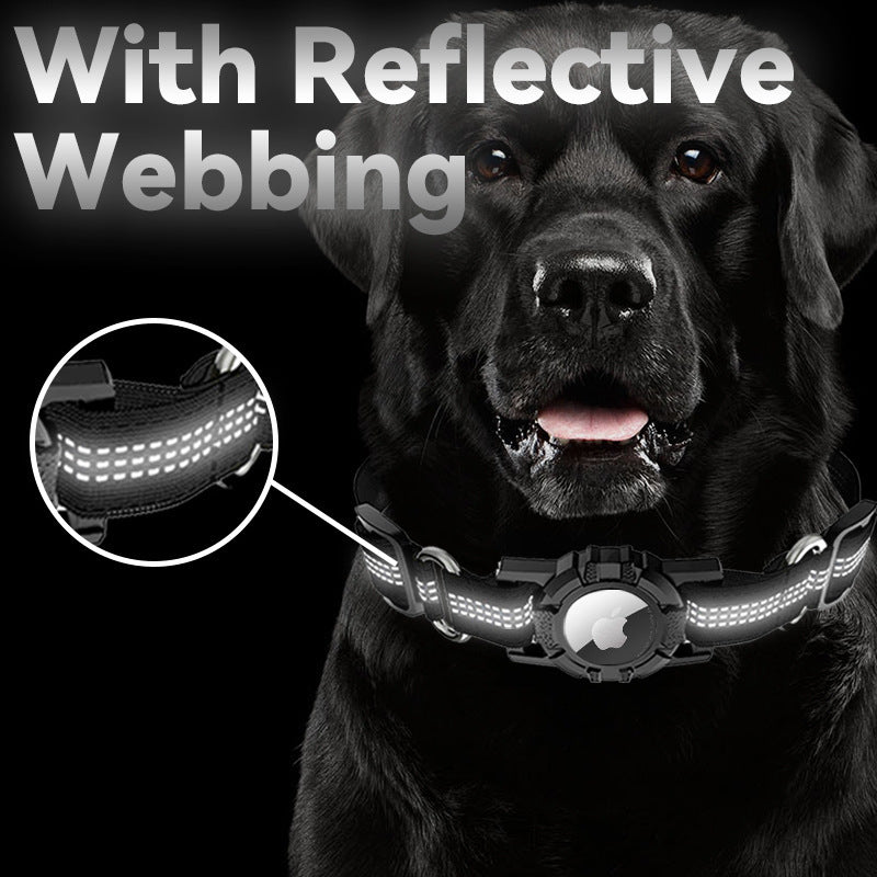 Pet Collar Accessories