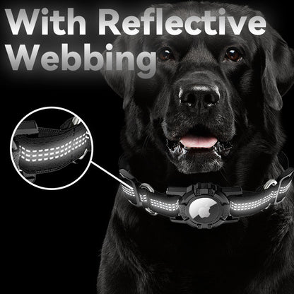 Pet Collar Accessories