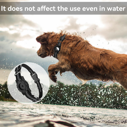Pet Collar Accessories