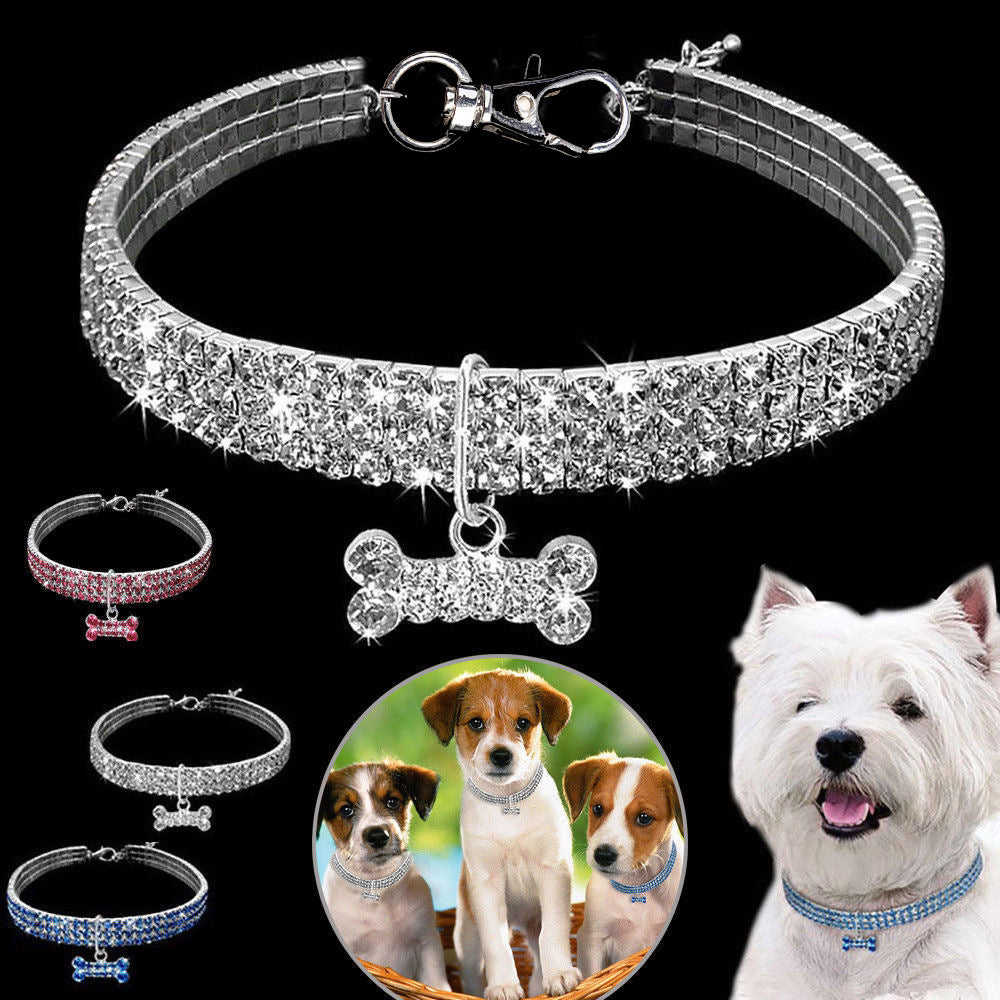 Pet Collar Accessory
