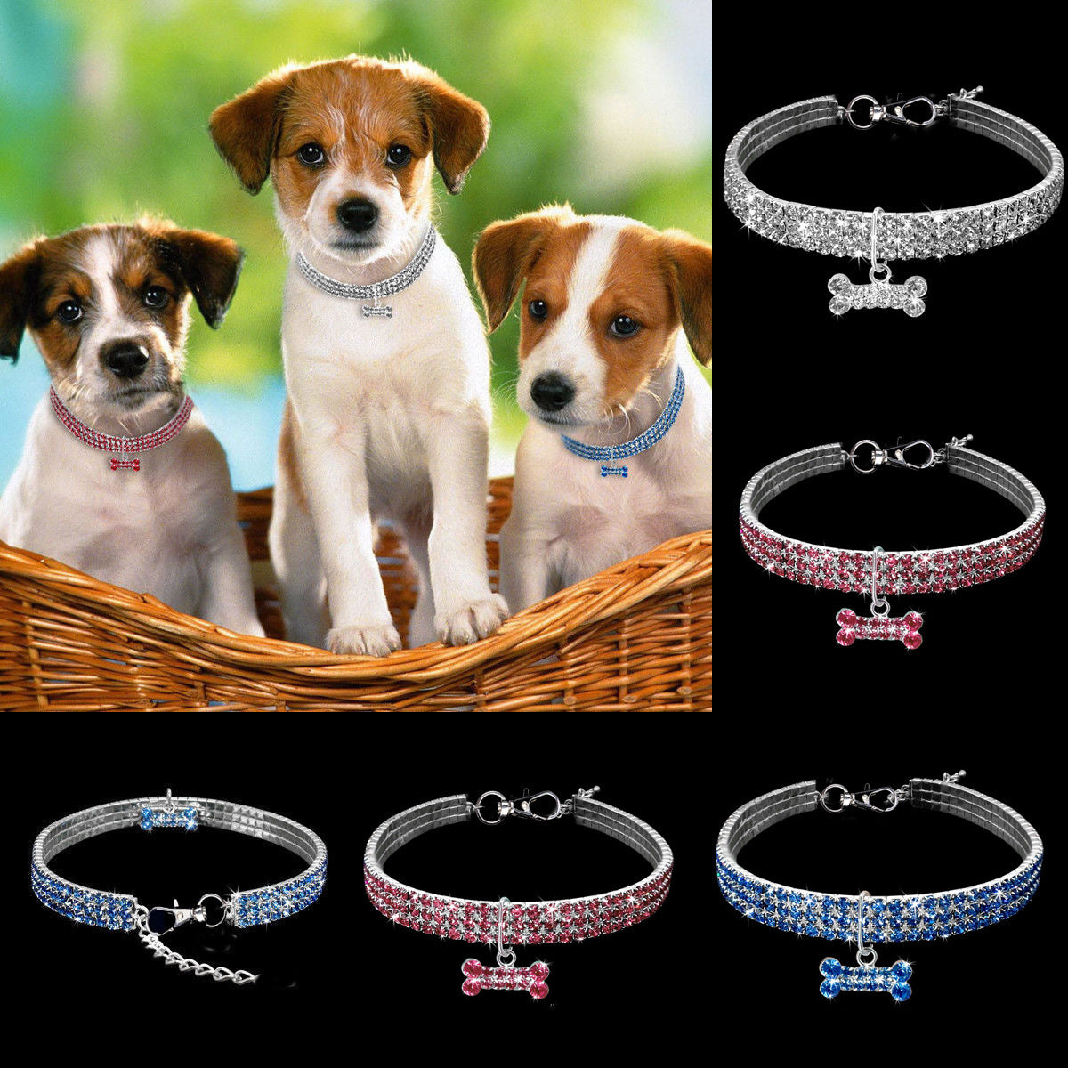 Pet Collar Accessory