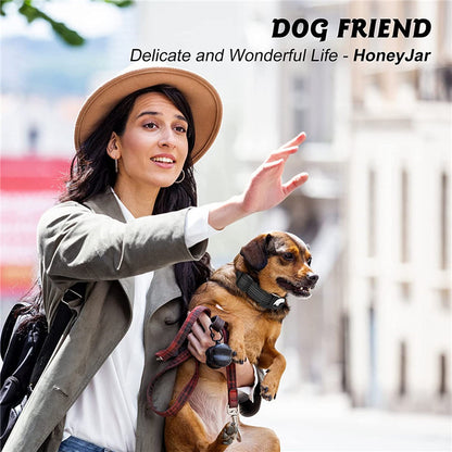 Pet collar