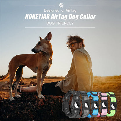 Pet collar
