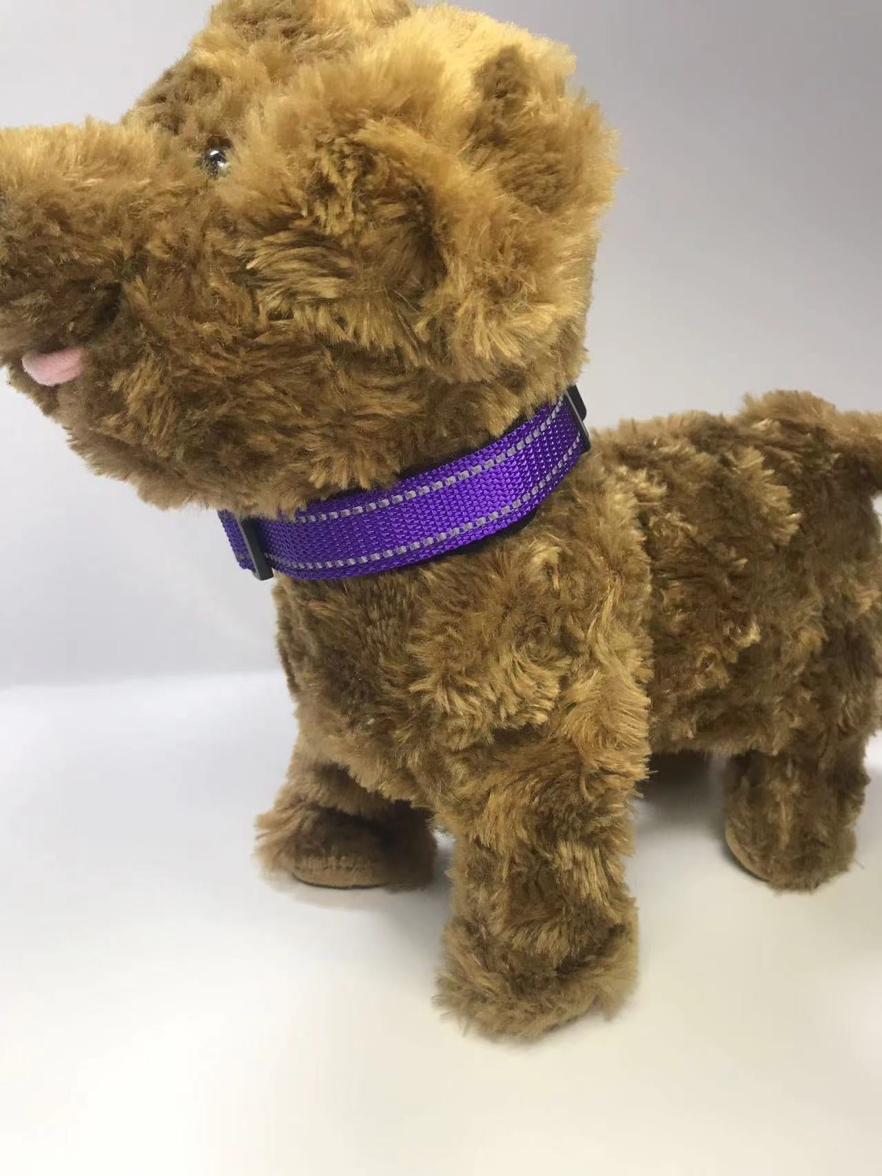 pet collar