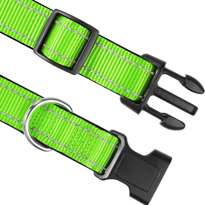pet collar