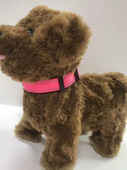 pet collar
