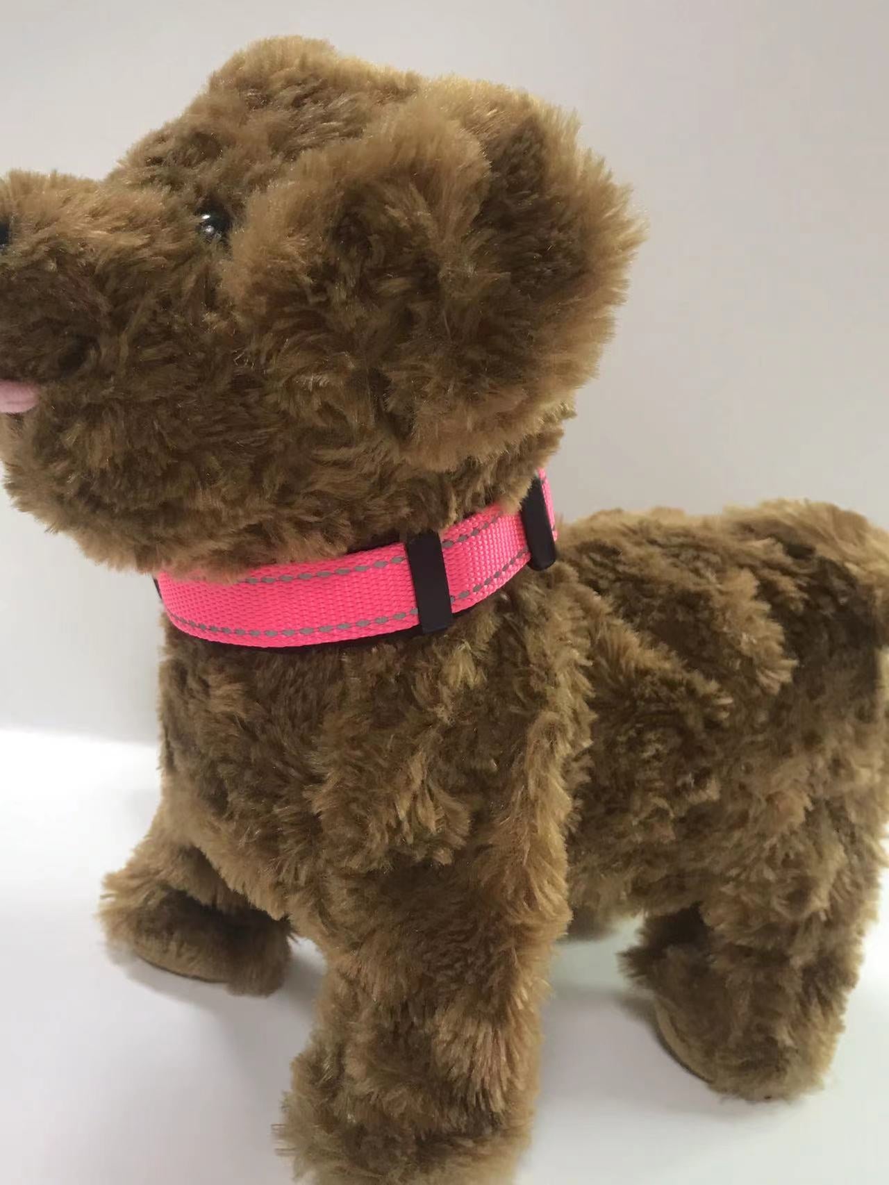 pet collar
