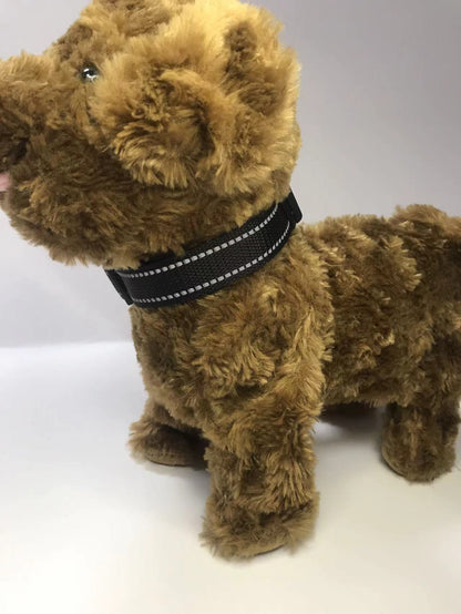 pet collar