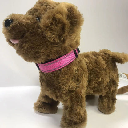 pet collar