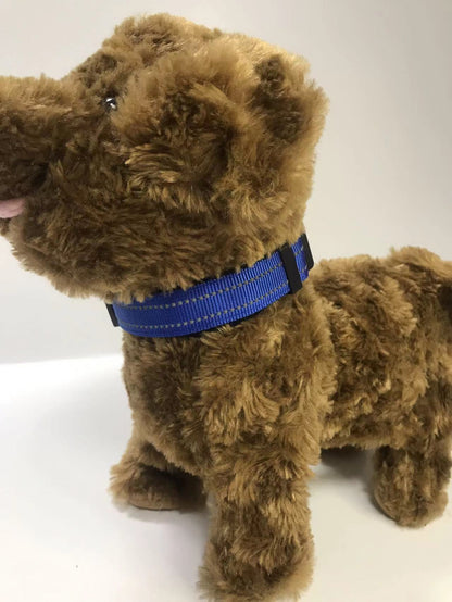 pet collar