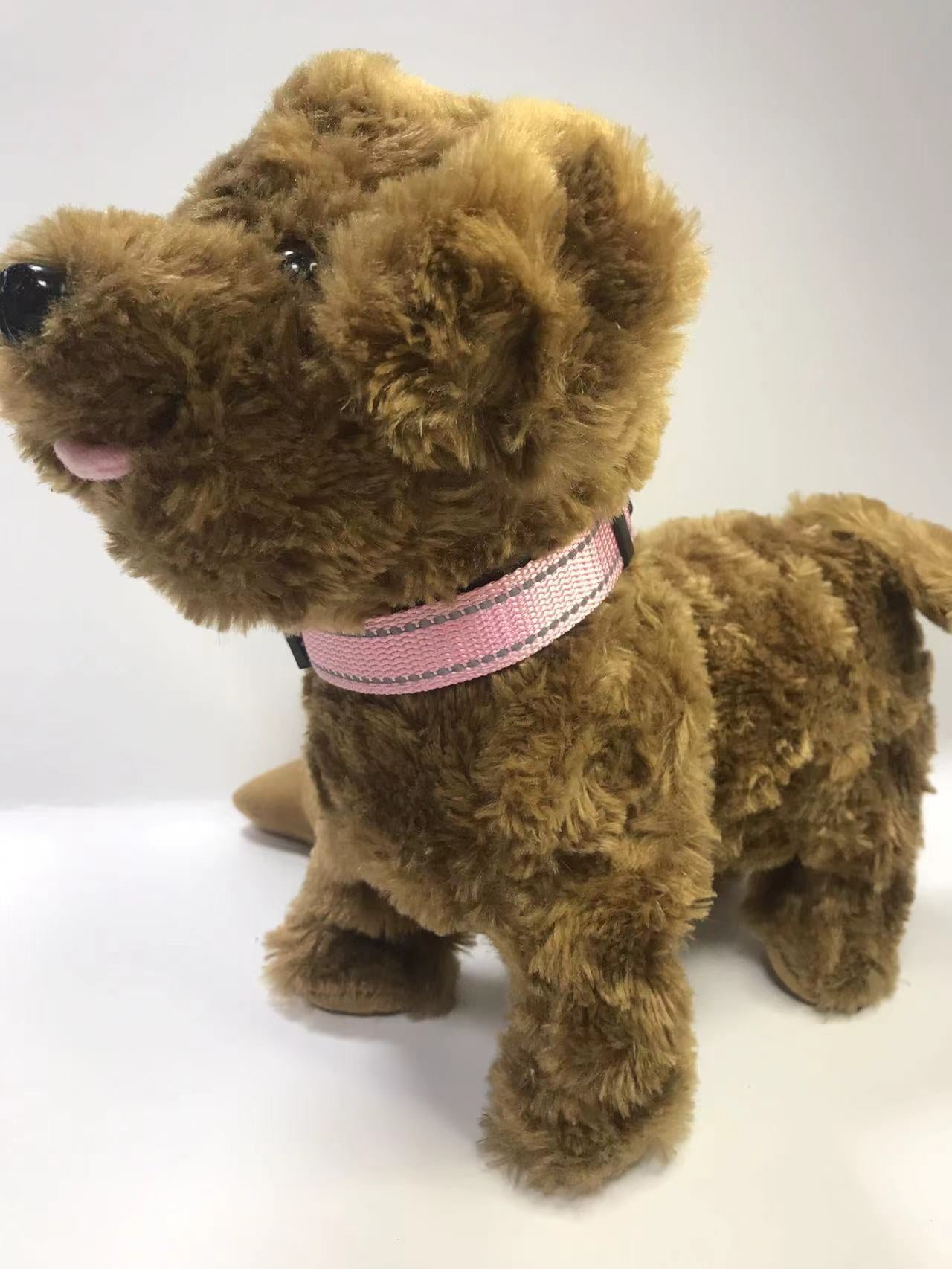 pet collar