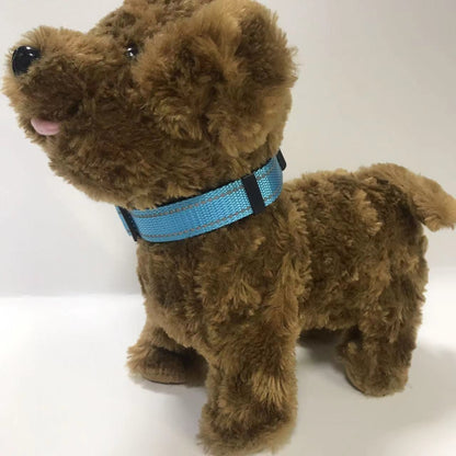 pet collar